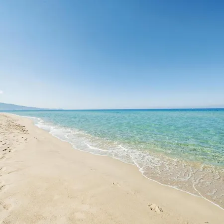 Is Terrazzus * 고네사